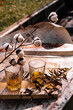 whiskey on ice with cotton branches