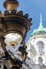 Canvas Print - old street lamp