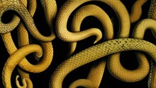 Snake On Black Created With Generative AI Technology