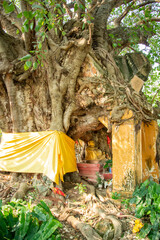 Poster - THAILAND RATCHABURI WAT MUANG MON