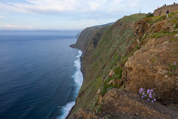 Wall Mural - Amazing view of the coast in Madeira, Portugal from a viewpoint called Miradouro Galore. In the foreground a beautiful pink flower.