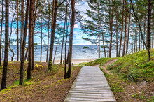 Footpath In The Forest Leading To Sandy Beach Of The Baltic Sea In Jurmala - Famous Tourist Resort In Latvia