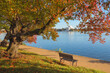 Washington D.C. in autumn season - Jefferson Memorial and tidal basin	
