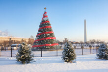 Decorated Christmas Tree And Washington Monument - Washington DC United States