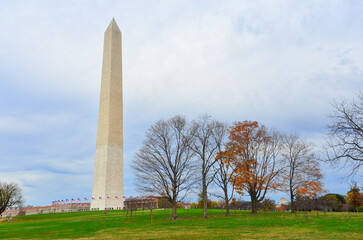 Wall Mural - Washington Monument in autumn season - Washington D.C. United States