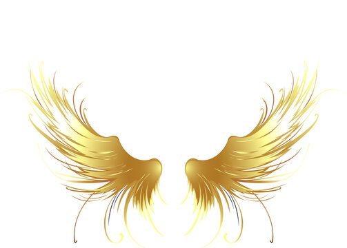 Fifth golden wings of angels