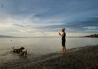 Wall Mural - A woman playing with the dogs at the beach.