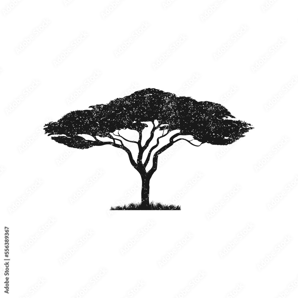 Vector silhouette of acacia tree.African tree isolated silhouette