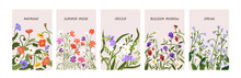 Floral Cards With Spring Meadow Flowers, Field Blossomed Plants. Romantic Botanical Backgrounds Set, Floristic Story Covers With Wildflowers, Pansies, Forget-me-nots Blooms. Flat Vector Illustration