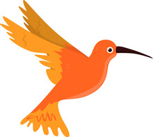 Flying Orange Hummingbird with Transparent Background