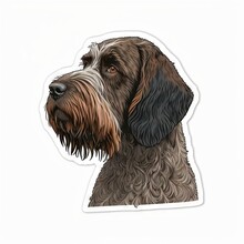  A Sticker Of A Dog With A Brown And Black Face And Long Hair.