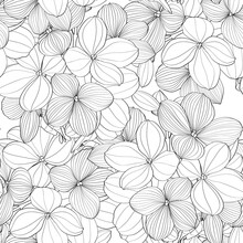 Seamless Pattern Of Black Line Hydrangea Flowers For Fabric Design. Luxurious Line Art Of Spring Flowers. 