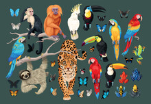 Big Vector Set Of Tropical Animals And Birds