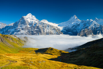 Poster - Mountains peaks and clouds in the valley. Natural landscape. Mountain range through the clouds. Landscape in the summertime. Large resolution photo.