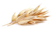 © Dionisvera - Oats spike in closeup on white background