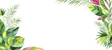 Tropical Background With Green Watercolor Leaves. Place For Your Text. Perfect For Wedding And Ceremony Decoration, Stationary, Greetings Etc.