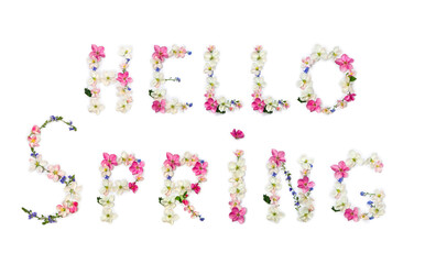 Wall Mural - hello spring lettering text from of flowers apple tree and blue wildflowers forget-me-nots on white 