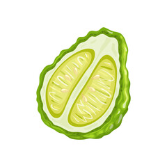 Poster - bergamot cut cartoon. citrus kaffir, fresh food, green fruit, healthy natural, organic hair, tropica, slice, half ingredient bergamot cut vector illustration