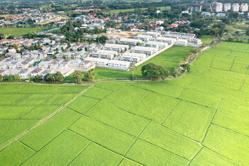 Wall Mural - land, landscape of green field in aerial view. include agriculture farm, house building, village. th