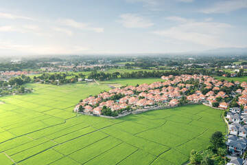 Wall Mural - Land, landscape of green field in aerial view. Include agriculture farm, house building, village. That real estate or property. Plot of land to housing subdivision, development, sale or investment.
