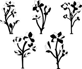 Wall Mural - Magnolia Flower isolated vector Silhouettes 