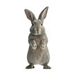 lapin gris debout sur ses pattes arrières et qui dit bonjour  fond transparent - illustration IA