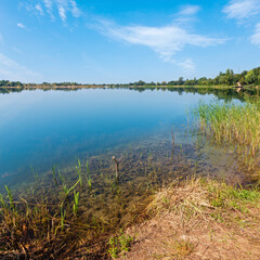 Wall Mural - summer lake calm rushy shore.