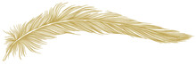 Golden Feather Illustration 
