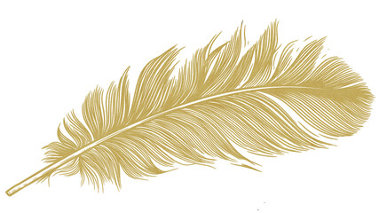 golden feather isolated on white
