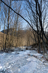 Wall Mural - Small river in tree near Shen Gjergj waterfall winter. Albania