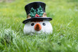 © alho007 - Schneemann nach Schneeschmelze im Gras