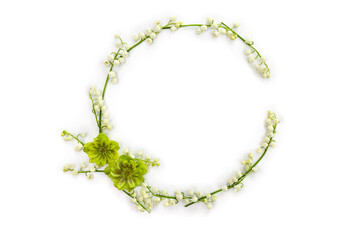 Wall Mural - frame with white flowers lily of the valley ( convallaria majalis, may bells, may-lily ), hellebores