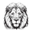 Lion portrait lion head sketch hand drawn engraving style Wild animals Vector illustration