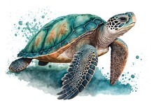 Cartoon Animal Graphic Artwork With A Hand Drawn Sea Turtle, Isolated On White. Generative AI