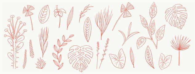 set collection plants leave hand drawn vector. Drawing beautiful creeper leaves, decorative color set