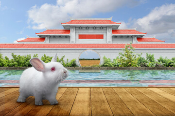 Poster - Happy Chinese New Year. Chinese New Year of Rabbit