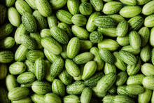 Full Frame Of Freshcucamelons(Melothriascabra)
