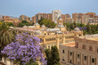 Aerial panorama of Malaga from the Alcazaba with the city hall and the Gardens of Pedro Luis Alonso