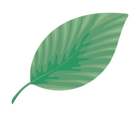 Sticker - leaf nature icon