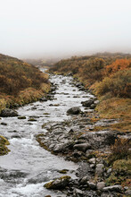 Small River Flowing Through Stones And Bushes