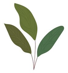 Poster - leaves branch illustration