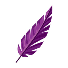 purple feather illustration