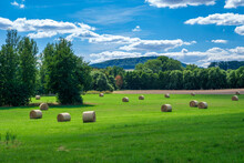 Rolls Haystacks Straw On Field, Harvesting Wheat. Rural Field With Bales Of Hay. Landscape