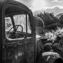 Black And White Image Of An Abandoned Vintage Truck Overgrown With Plants In Totara Flat, The Centre Of The Farming Industry In The Grey County; South Island, New Zealand