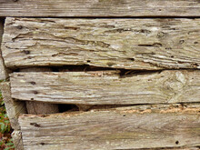 Rotten And Broken Boards From An Old Goat Shed
