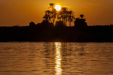 Bright Sun Setting Behind A Silhouetted Cluster Of Palm Trees Along The Riverbank And Casting An Orange Glow In The Sky And Reflection On The Waters Of River Nile; Luxor, Egypt
