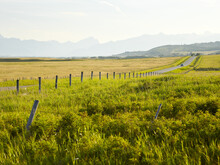 Country Road Lined With Fence And Wooden Posts, Leading To The Canadian Rocky Mountains That Are Silhouetted In The Distance; Alberta, Canada