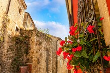 Close-up Of Bright, Red Flowers Blooming Through An Iron Window Grill And The Old Stone Buildings Lining The Streets Of The Medieval Village Of Motovun In The Istrian Hills; Motovun, Croatia