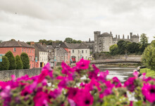 Purple Garden Flowers In Front Of John's Bridge And The River Nore That Flows Through The City Of Kilkenny With Its 12th Century Kilkenny Castle In The Background; Kilkenny, County Kilkenny, Ireland