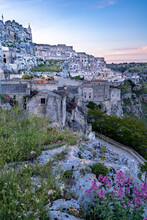 Wildflowers Growing On The Cliffs As Twilight Casts A Purple Hue Over The Cityscape Of The Ancient Cave Dwellings Of The Sassi Di Matera With Rock Churches On The Hilltop; Matera, Basilicata, Italy